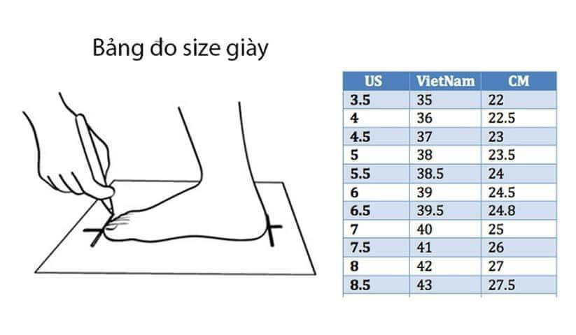Bảng đo size giày Sneakers - Giaydino.com