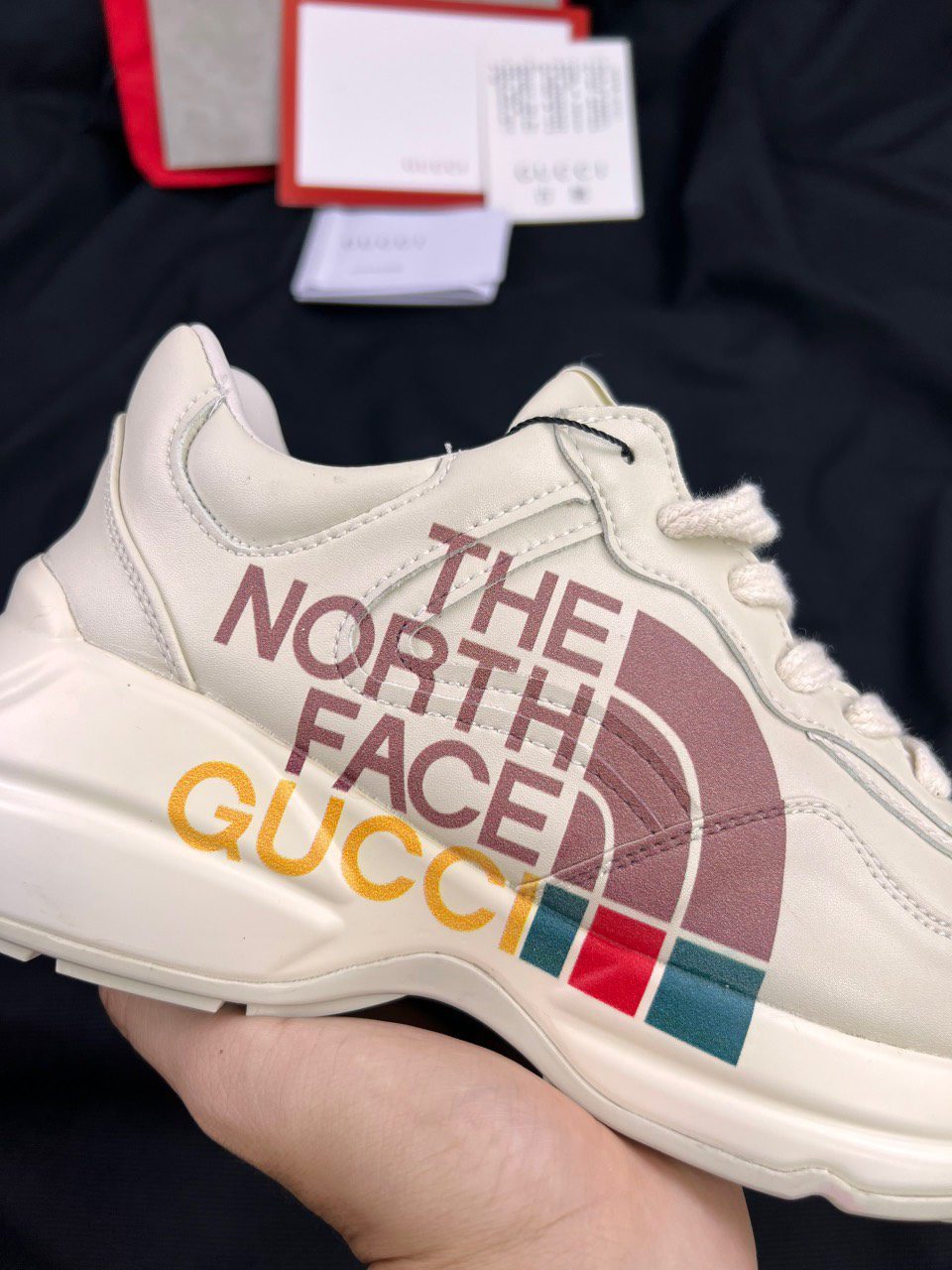 Giày The North Face x Gucci