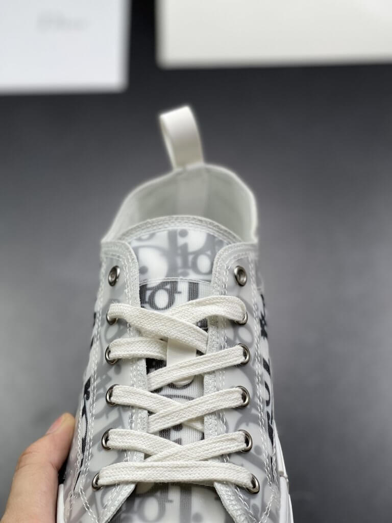 dior kaws b23