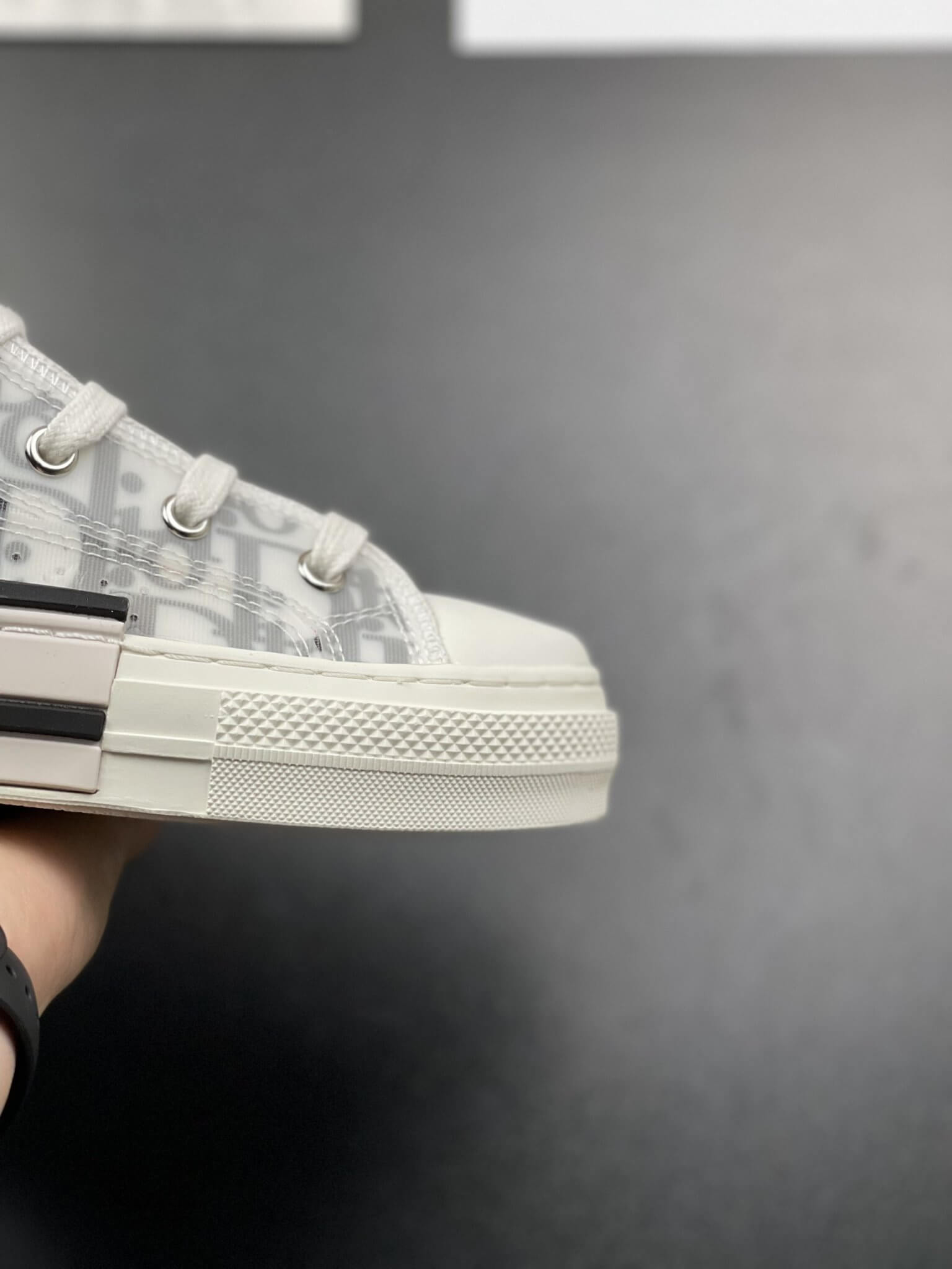 dior kaws b23