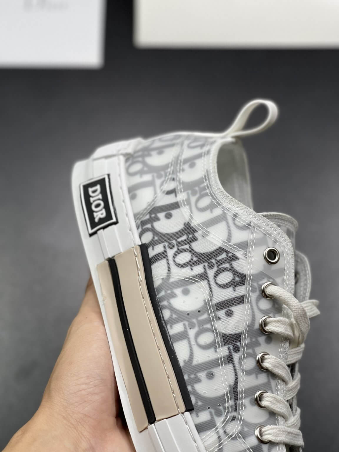 dior kaws b23