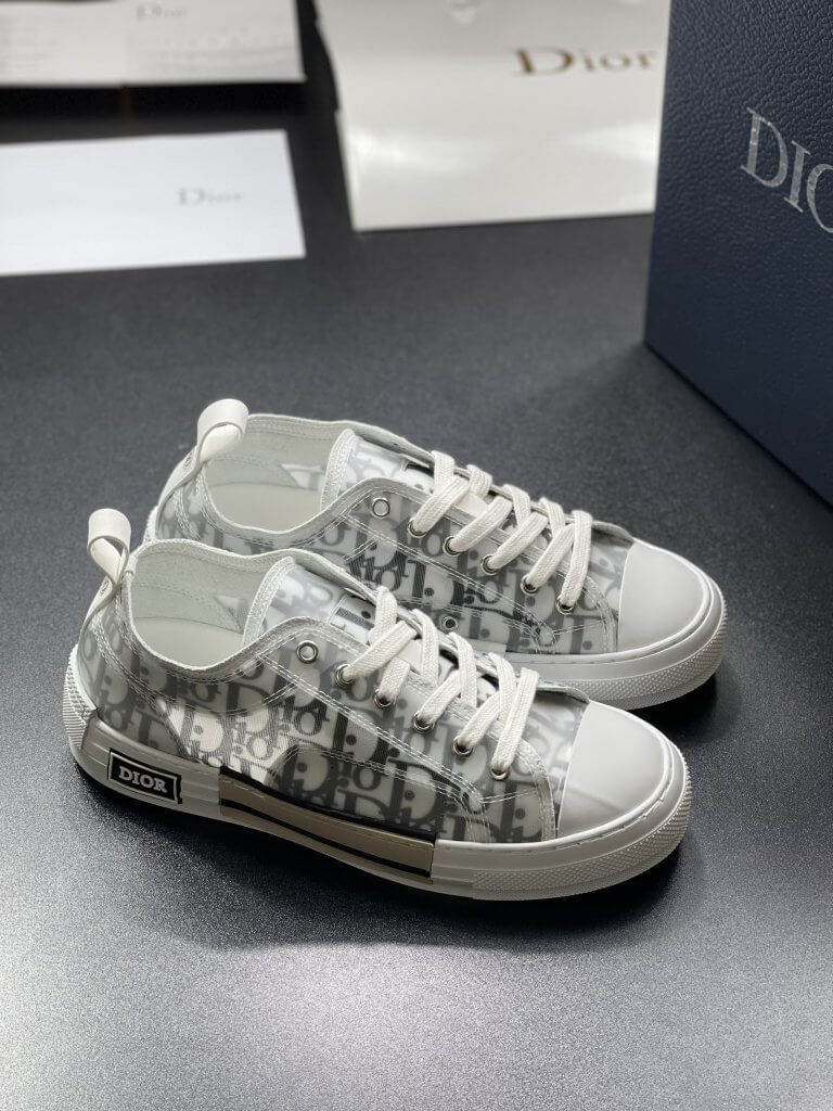 dior kaws b23