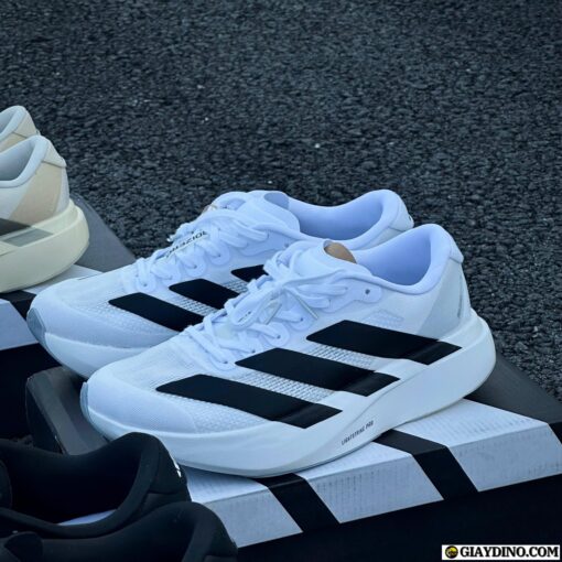 Giày Adidas Adizero Evo SL White Black