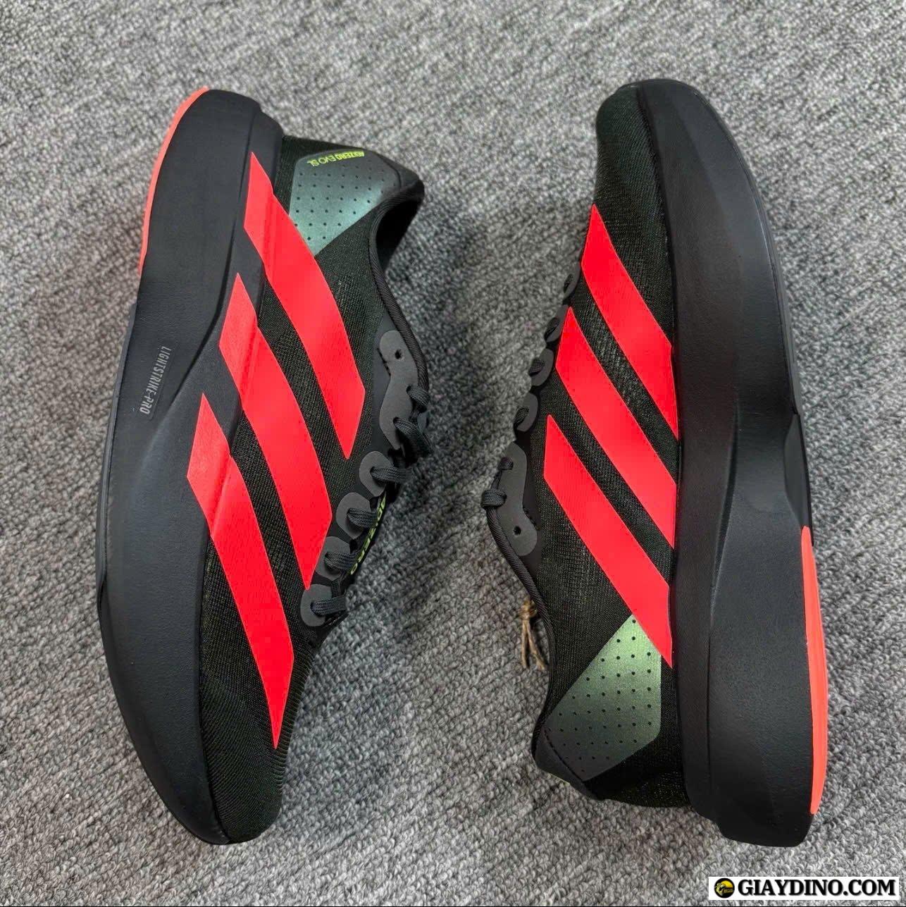 Giày Adidas Adizero Evo SL Carbon Lucid Red Best Quality Giày Adidas Adizero Evo SL Carbon Lucid Red Best Quality