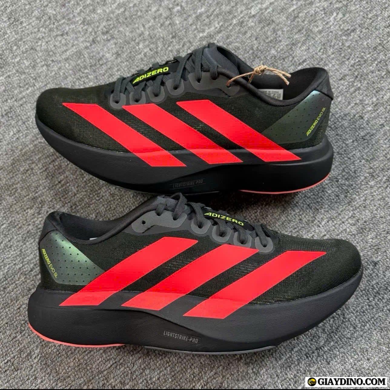 Giày Adidas Adizero Evo SL Carbon Lucid Red Full Box Giày Adidas Adizero Evo SL Carbon Lucid Red Full Box